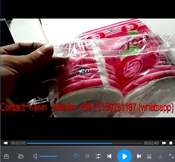 Toilet Paper Roll Packing Machine —One-head-10 PCS each Bag — 426A