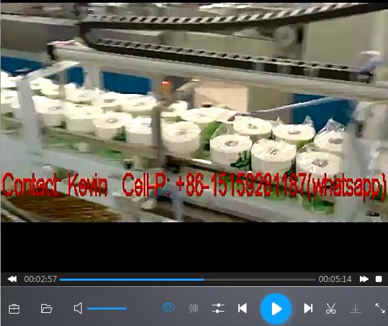 Toilet Paper Roll Converting Machine Line —10 PCS each Bag — 426A